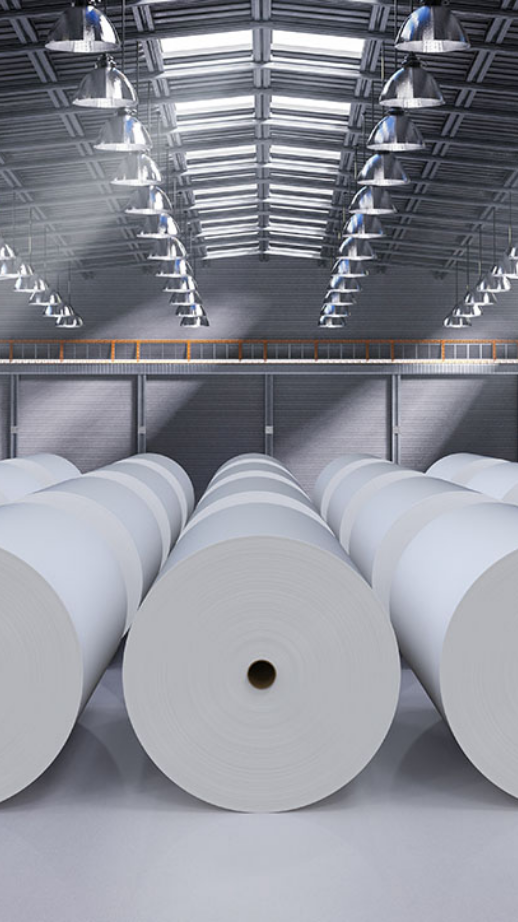 Paper Rolls
